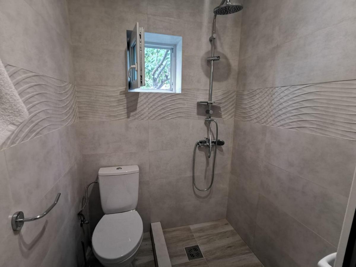 מלון קוסטינסטי Zapp House מראה חיצוני תמונה